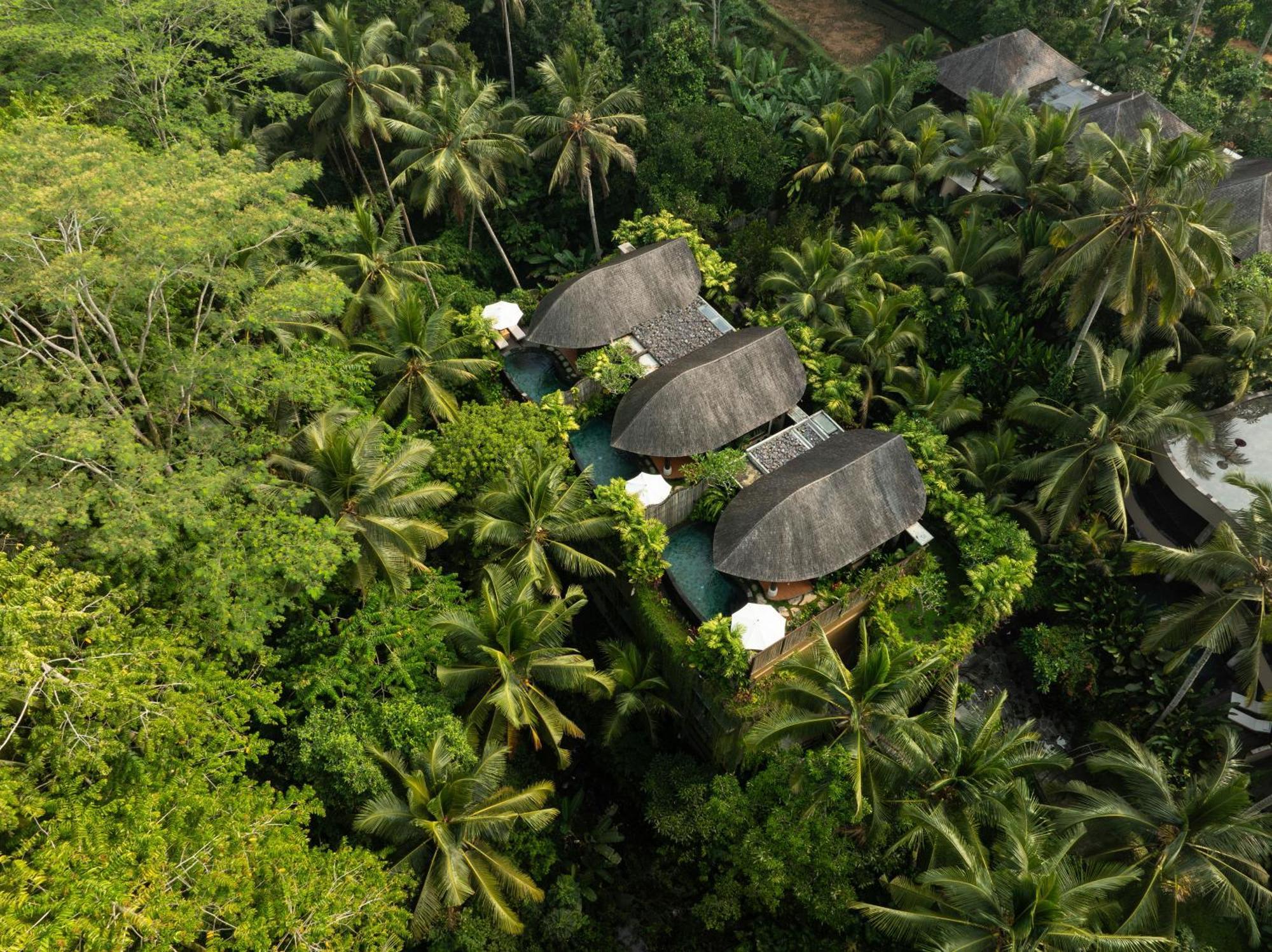 Abisena Wellness & Resort Ubud-Adult Only Extérieur photo
